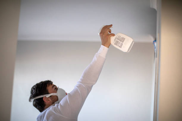 Best Insurance-Related Mold Remediation in Garden View, PA