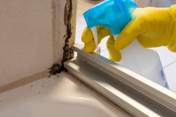 Best Mold Testing and Inspection Services in Garden View, PA